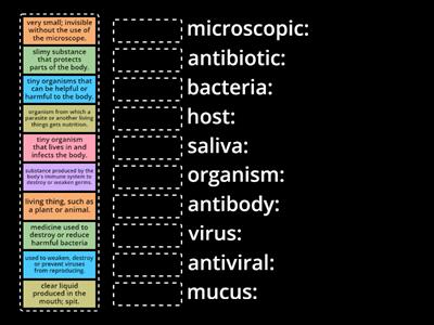 VOCABULARY G6