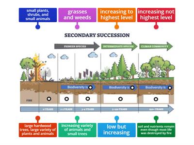 Secondary Succession