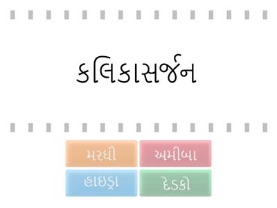 વિજ્ઞાન, ધોરણ :8 પ્રકરણ 6 : જોડકા જોડો 