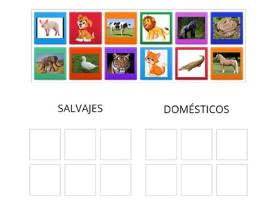 Animales domésticos y salvajes