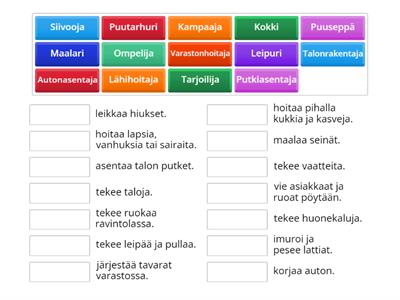 Ammatit ja verbit