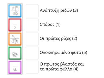 Τα στάδια ανάπτυξης των φυτών