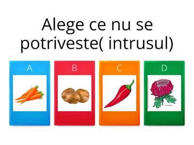 Alege ce nu se potriveste( intrusul)