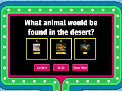  Desert Plants and Animals