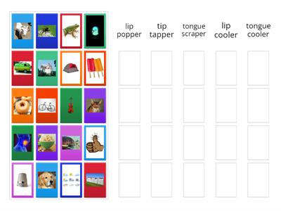 LiPS Beginning Sound Sort # 2