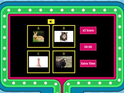 Unit 1 Game Show Funny Animals Sound