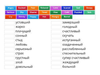 EMOTIONS/FEELINGS