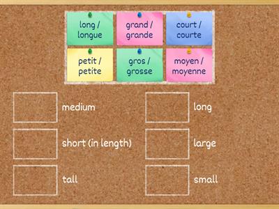 French Adjectives of Size