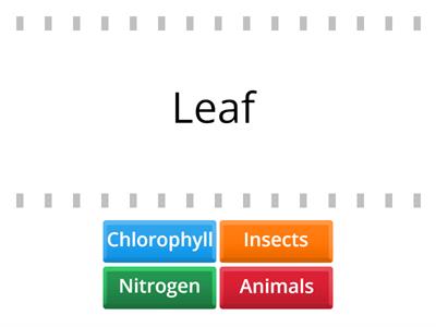 Nutrition in plants 