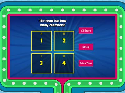 The Heart and Coronary Arteries