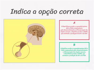 Controlo hormonal feminino