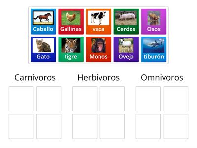 Animales carnívoros, herbívoros, omnívoros