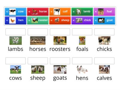 FFF Unit 3 Ch 4 Farm Animals MATCH UP Singular and Plural Part 1 