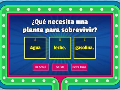 ¿Qué necesita una planta para vivir?