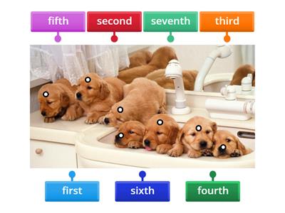 Ordinal numbers - 2B