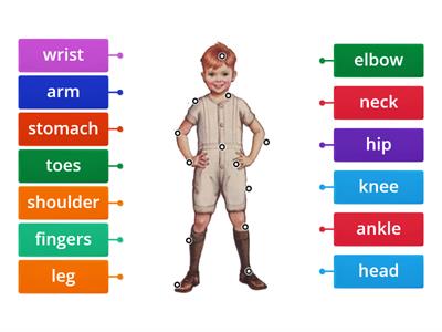 U 3 Body parts