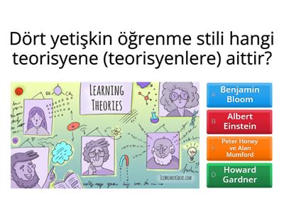 Yetişkin Öğrenme Stilleri Quiz