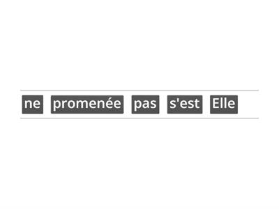 Passé composé verbes pronominaux 