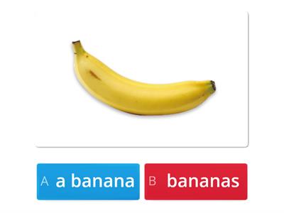 P.1 Unit 4- Plural ..s, ..es,... ies