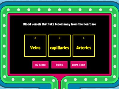 Blood vessels Challenge