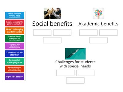 Benefits & challenges for students with special needs