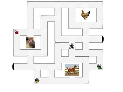 Where is the dog/cat/pig/horse/rooster?