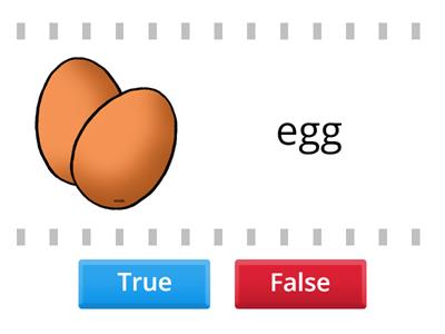 oblong oval objects