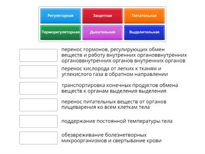 Функции крови