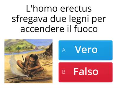 Quiz Homo erectus