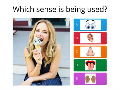 five senses quiz