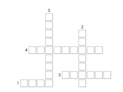 Quadrilateral Shapes