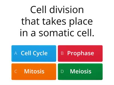 Mitosis quiz 