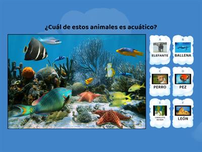 ANIMALES