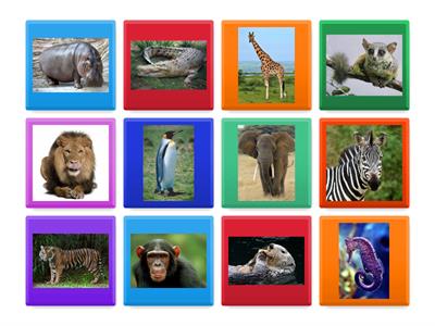 excellent 1 unit 12 wild animals