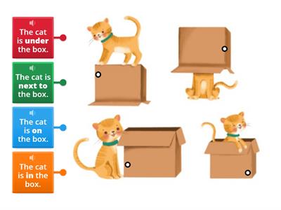 Kid's Box 1 Unit 3 - Prepositions (cat)