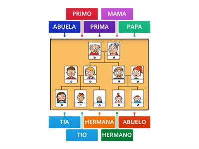 FAMILY TREE IN SPANISH