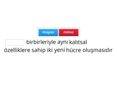 MİTOZ