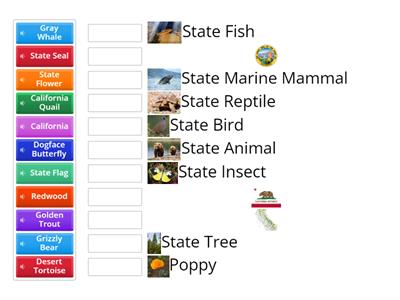 California State Symbols Matching Activity