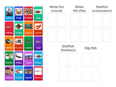 Types of Seafood (GCSE Food and Nutrition)