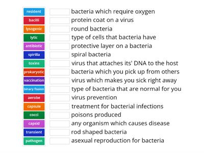 Virus and bacteria wordwall