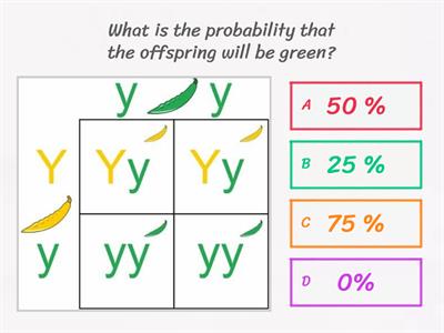 Punnett square- Practice