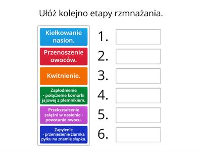 Rozmnażanie roślin okrytonasiennych - etapy.