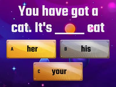 Possesive pronouns AS2