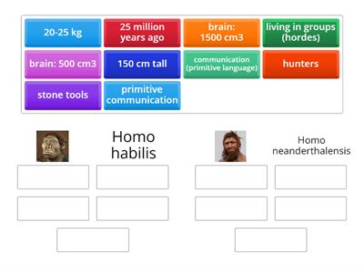 7a Biology Human Evolution