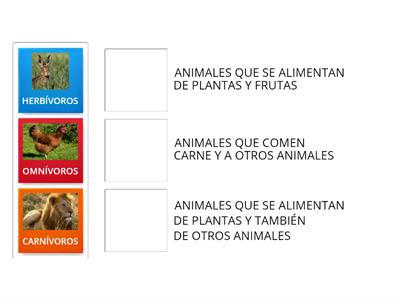 Alimentacion de los animales, definición.