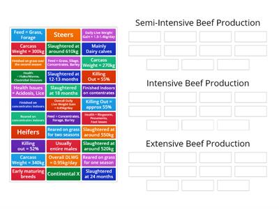 Beef Production Systems