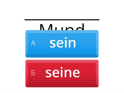 Sein*seine*ihr*ihre