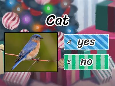 silly cats quiz 2