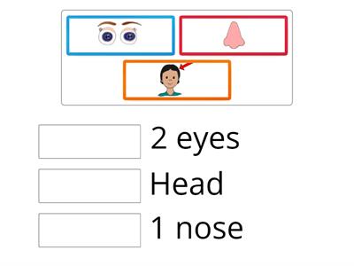 Eyes nose mouth ears - Teaching resources