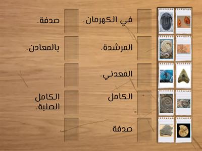 طرق حفظ الأحافير